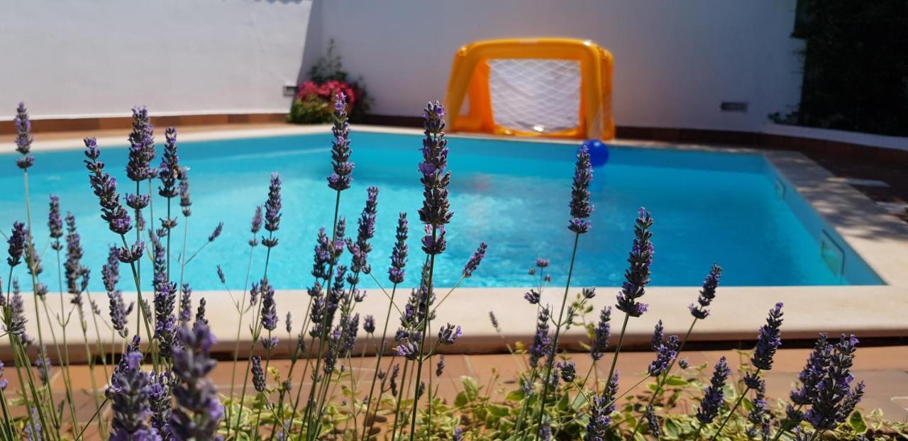 Guest House Bizjak Vinkuran Kültér fotó