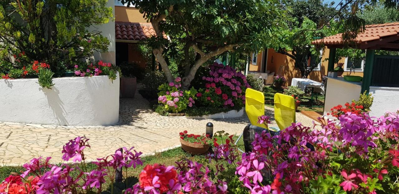 Guest House Bizjak Vinkuran Kültér fotó
