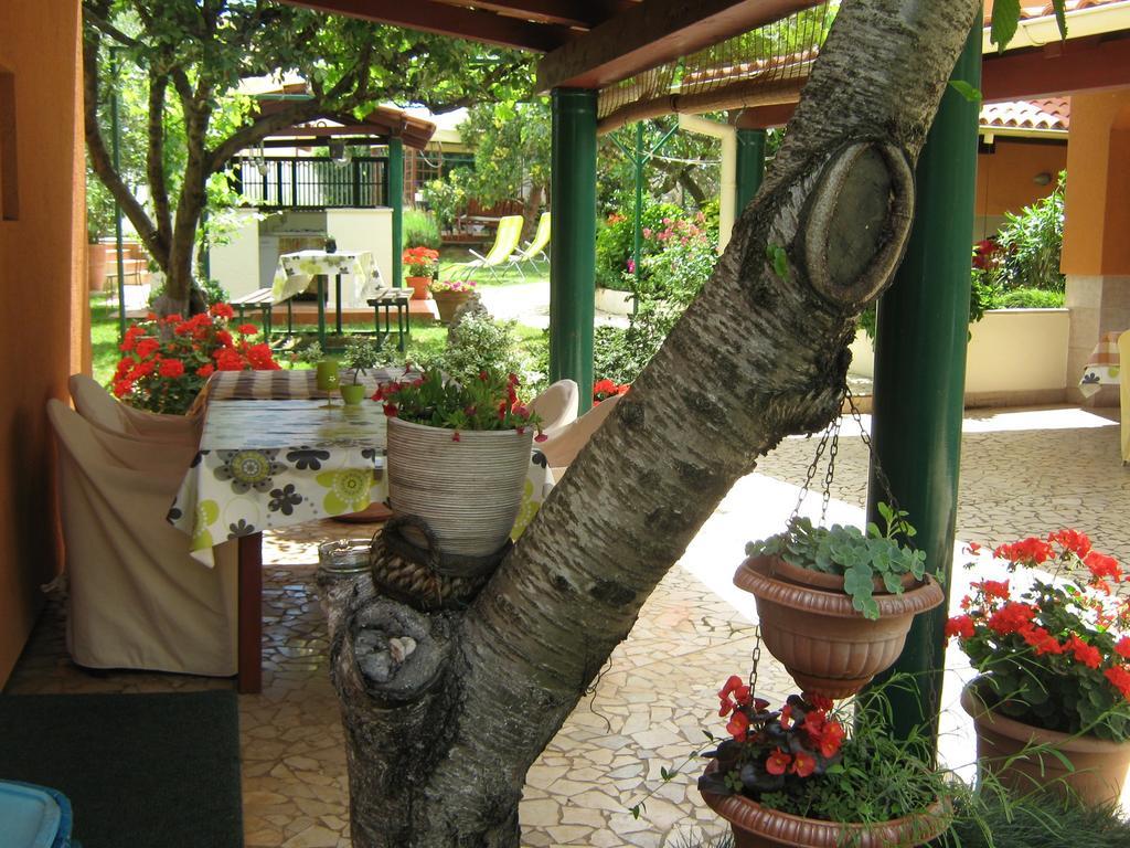 Guest House Bizjak Vinkuran Kültér fotó