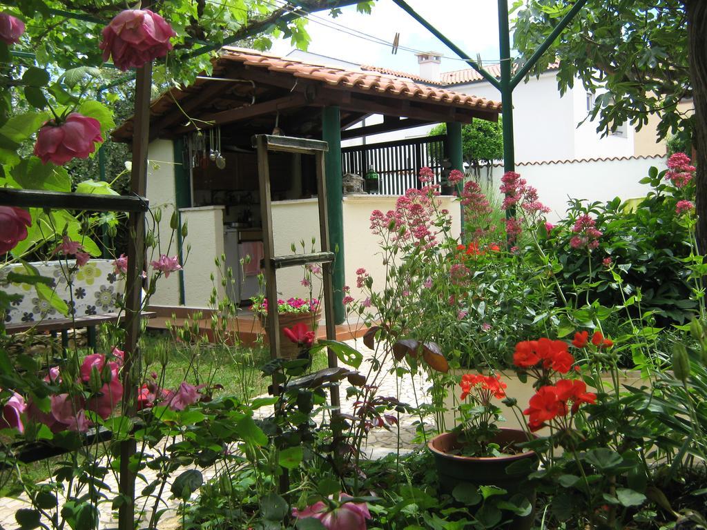 Guest House Bizjak Vinkuran Kültér fotó